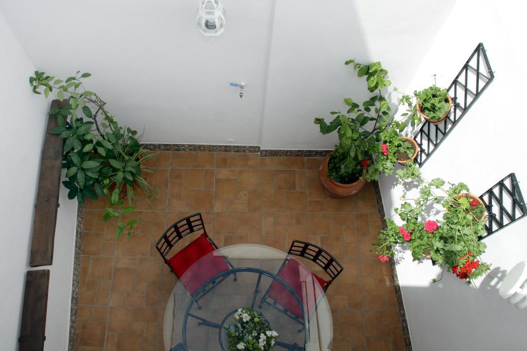 Apartamentos San Fernando 76 Cordova Esterno foto